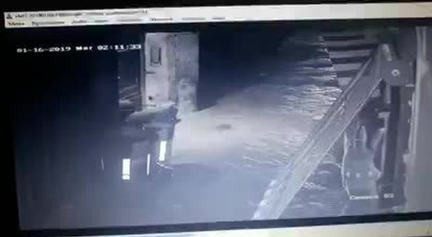 Bomba in pizzeria da Sorbillo, c'è un nuovo video: gli attentatori erano due
