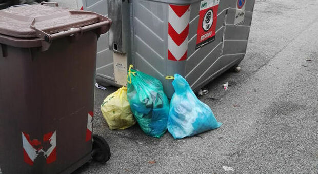 Nell'ultimo mese e mezzo a Vicenza sono state elevate quasi 50 multe per abbandono dei rifiuti