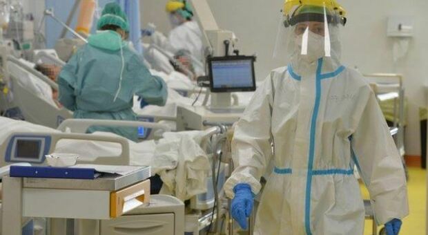 Covid, nuova terapia cellulare sperimentata al S.Matteo di Pavia: «I due pazienti trattati sono già stati dimessi in buone condizioni di salute»