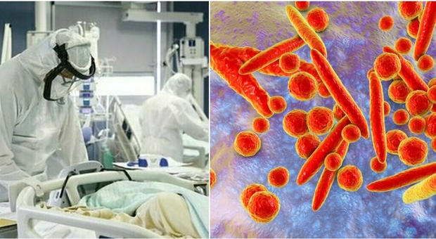Polmoniti nei bimbi, picco contagi in Europa: rischio nuova pandemia? «Batterio pericoloso come un virus»