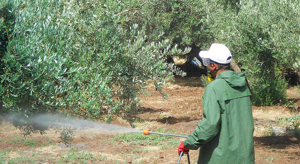 No pesticidi, i sindaci non raccolgono l'invito della Regione: restano le ordinanze contro il decreto Martina