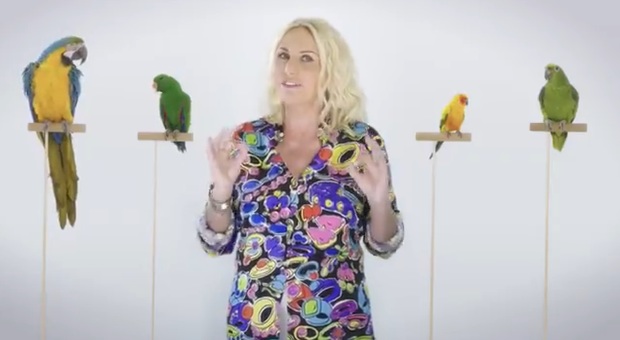 Portobello, l'ira degli animalisti: «Liberate i pappagalli!». Ecco cosa sta succedendo