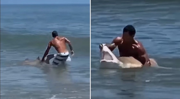Cattura uno squalo a mani nude in spiaggia davanti agli altri bagnanti, il motivo è incredibile