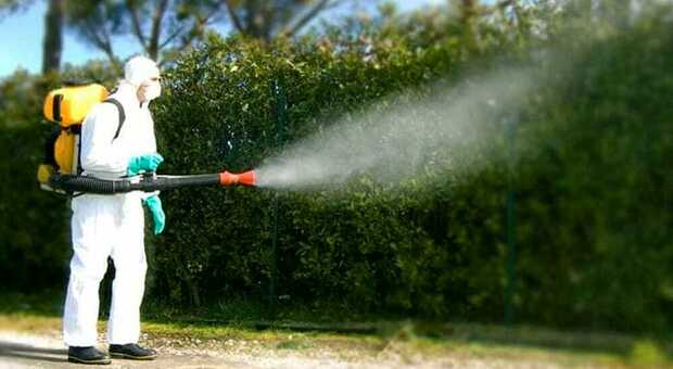 «Guerra alle zanzare senza danneggiare l'ambiente». Ecco cosa farà il sindaco Sclavi
