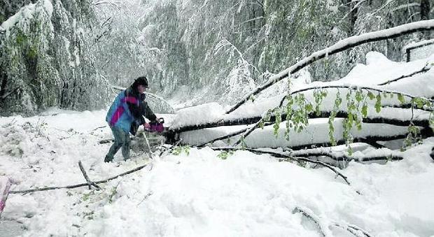 Seicento animali sotto un metro di neve, l'allevatore: «La Regione ci aiuti»