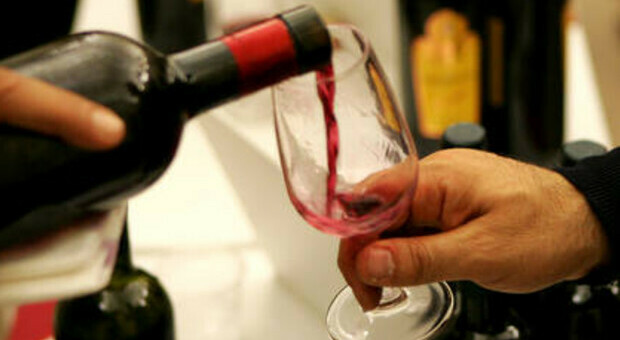 «Bottiglie di vino per cancellare le multe»: indagati 5 carabinieri. Coinvolti anche un avvocato, un cancelliere e un dipendente della cantina “Due Palme”