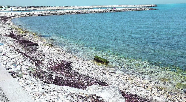 San Girolamo, la spiaggia sparita: invasa da rifiuti e degrado