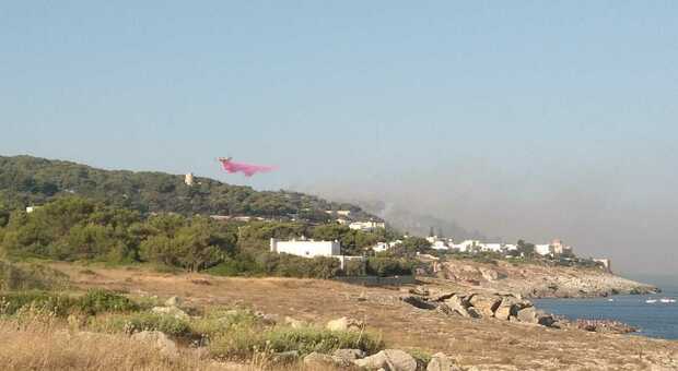 Incendio a Santa Cesarea: in fumo 50 ettari di macchia e bosco. L'amministrazione: è doloso