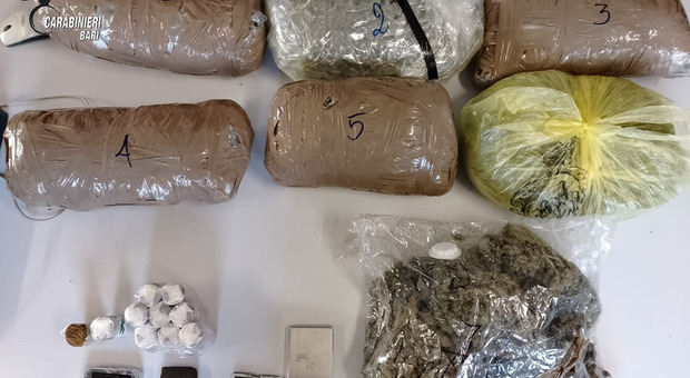 Droga, in casa più di 8 chili tra marijuana e hashish: arrestata una coppia
