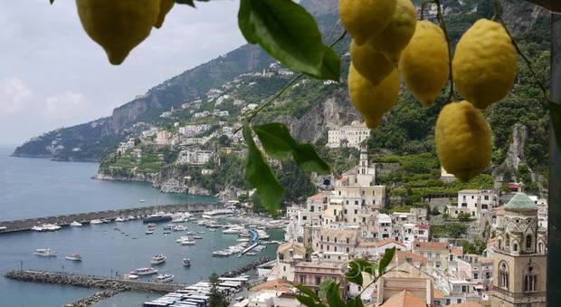 Prima il freddo, poi la siccità estiva limoni d'Amalfi, perdite da 2 milioni