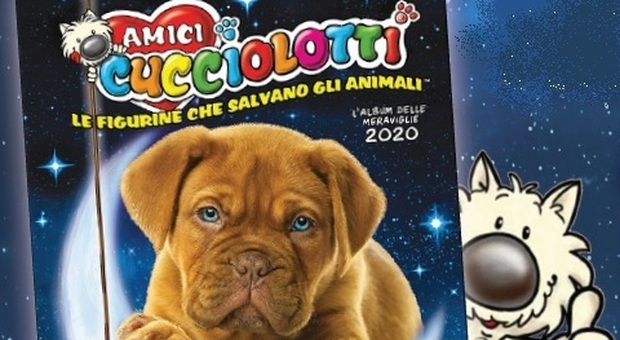 Amici cucciolotti, in regalo col Gazzettino l'album per chi ama gli animali
