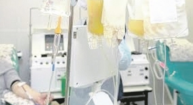 Pesaro, l'appello Avis ai guariti dal coronavirus: «Ospedale in difficoltà, serve plasma iperimmune»
