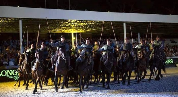 Rieti, un anno da incorniciare per i "Cavalieri del cavallo Tolfetano" di Cottanello