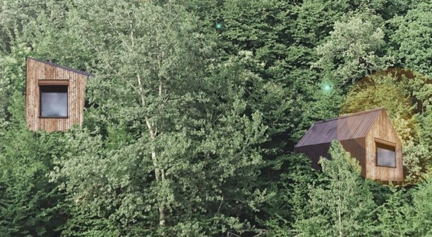 Casette di legno costruite sugli alberi, la nuova frontiera del turismo green è sui monti Sibillini