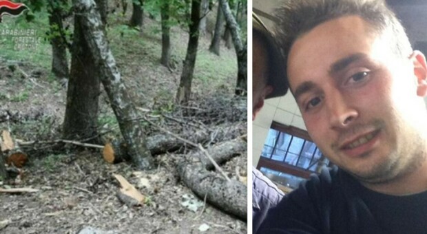 Schiacciato dal tronco di un albero, Daniele muore a 33 anni: era papà di un bambino di pochi mesi