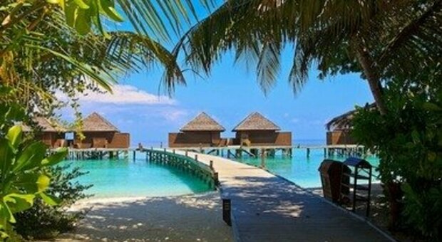 Maldive, resort ricerca "libraio scalzo" per un anno: potrà vivere gratis in una suite da 36mila dollari a notte