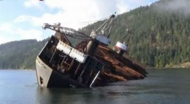 Canada, nave scarica i tronchi in modo sbalorditivo, diventando un'attrazione