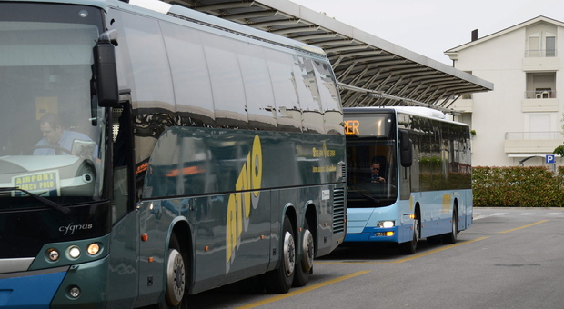 Aggressione all'autista del bus: «Daspo per i passeggeri violenti»