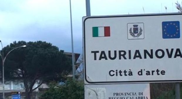 'Ndrangheta, blitz contro le cosche: 48 arresti. C'è anche l'ex sindaco di Turianova
