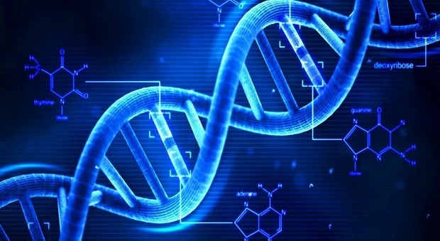 Harvard, riunione “segreta” su genoma umano sintetico