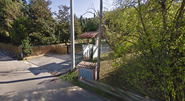 La rigogliosa zona collinare di via Campignardi a Creazzo dove si trova la villa lasciata in eredità ai cani
