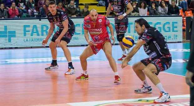 Volley, Perugia strapazza Piacenza nell'anticipo di Superlega (3-0)