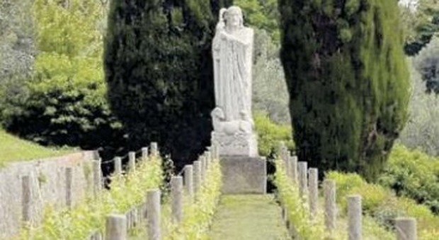 La vigna sradicata di Papa Ratzinger a Castel Gandolfo: «La pianteranno altrove»