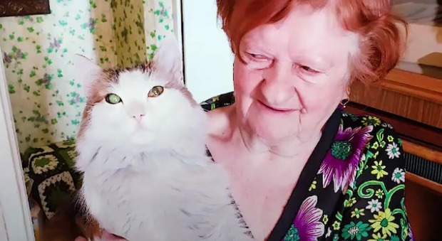 Anziana rischia di morire, il gatto la morde al collo e le salva la vita