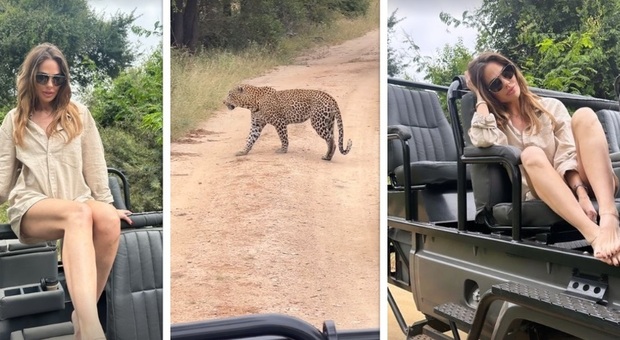Ilary Blasi a piedi scalzi tra i giaguari: il safari nella riserva naturale, ma l'alloggio è di lusso