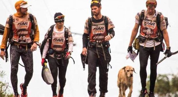 Si unisce a un team di atleti e corre per 700 chilometri: il cane Arthur trova famiglia