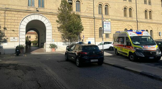 Ancona, si ferisce a un piede mentre sta lavorando a Economia: trasportato all'ospedale