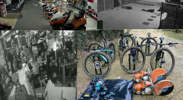 Maxifurto di biciclette nella sede Pinarello di Villorba, arrestata la banda