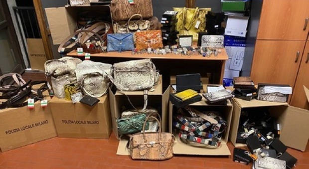 Milano, sequestrati oltre 360 accessori in pellami di animali a rischio estizione: denuncianti due commercianti