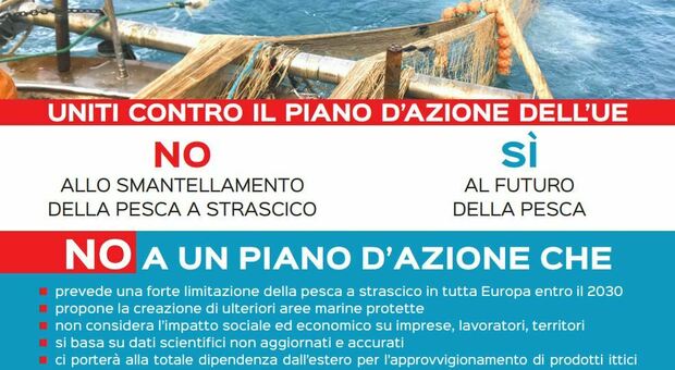 Piano Ue contro la pesca a strascico, le marinerie si mobilitano: venerdì 23 giugno la protesta ad Ancona