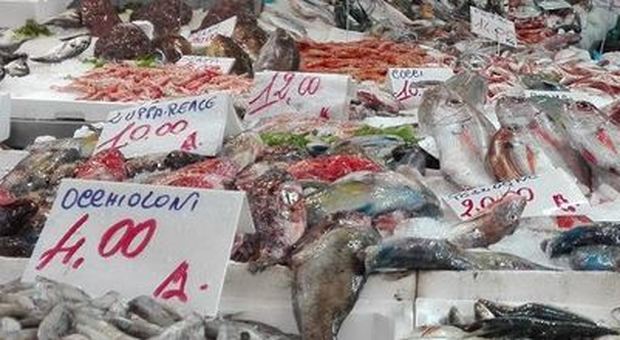 Fermo pesca in Adriatico, Coldiretti «Ecco cosa scegliere in pescheria»