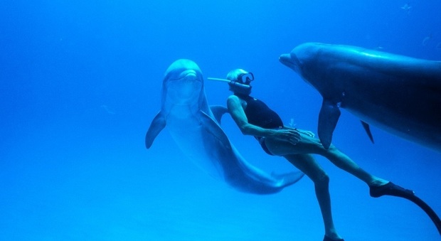 Il documentario sull'uomo-delfino Mayol proiettato sott'acqua a 40 metri di profondità