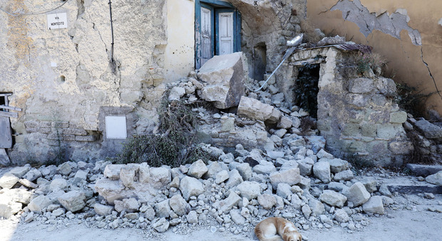 Terremoto a Ischia, Borrelli: «I danni? Non un problema di abusivismo»