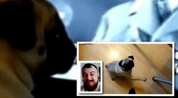 Allena il cane della fidanzata al saluto nazista: youtuber multato e processato