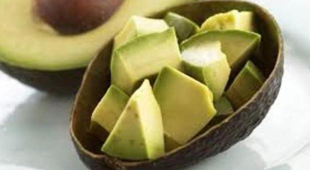 Un avocado al giorno protegge il cuore e abbassa il colesterolo