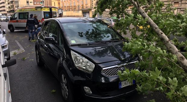 Roma, un grosso ramo cade sulle auto: ferita una donna