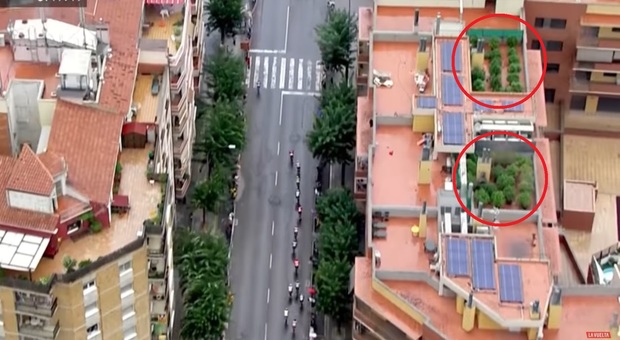 La Vuelta, l'elicottero che segue la corsa fa scoprire alla polizia una coltivazione di marijuana