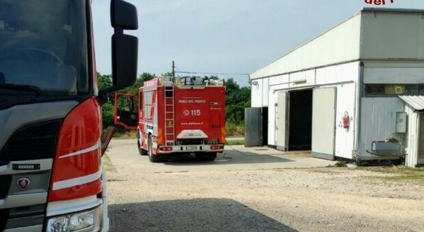 Incendio in azienda avicola di Montereale, i vigili del fuoco salvano 180mila polli