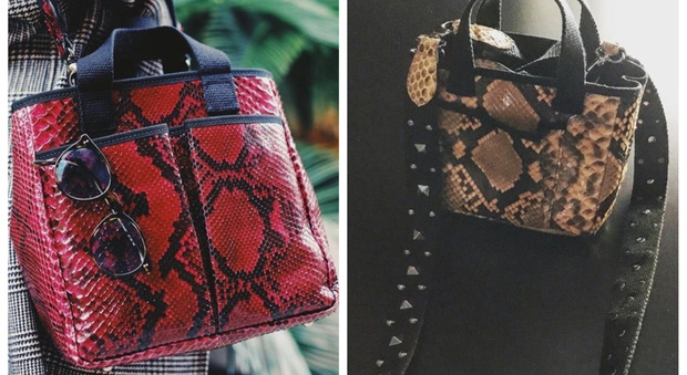 Pitone mania, ecco la borsa che si piega come una busta: il nuovo brand della principessa romana designer