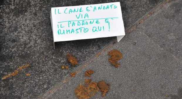 Escrementi di cani sul marciapiede a Milano (Newpress)