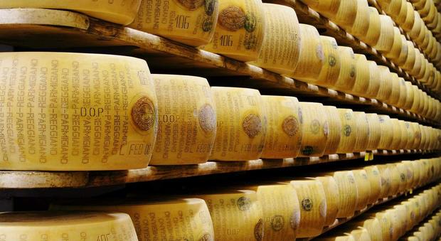 Sostanze cancerogene nei formaggi Parmigiano e Grana: denuncia choc