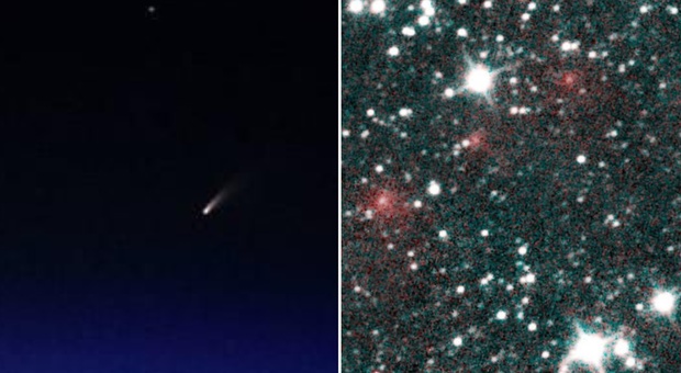 Cometa Neowise, nelle prossime ore il passaggio più vicino alla Terra: come vederla in modo ottimale
