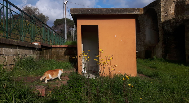 Pozzuoli, la biglietteria dell’area archeologica in abbandono diventa ricovero per gatti