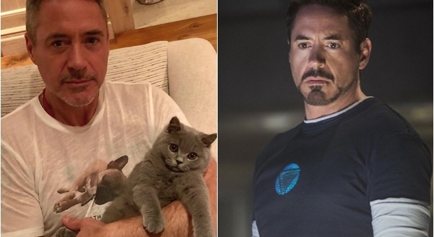 Iron Man diventa "Iron Cat" e spunta il commento di Gwyneth Paltrow