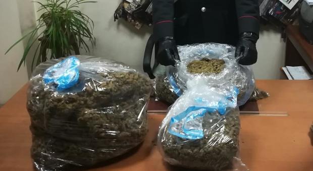 Trasportavano 22 chili di marijuana nel trolley: fermati davanti alla stazione Tiburtina