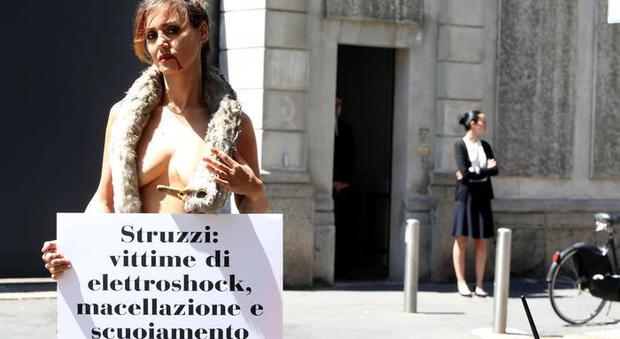 Topless e pelli di struzzo, la protesta choc dell'ex gieffina Daniela Martani